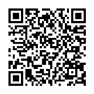 Lien vers votre campagne QRCode - Collecte de fonds