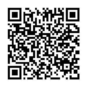Lien vers votre campagne QRCode - Collecte de fonds