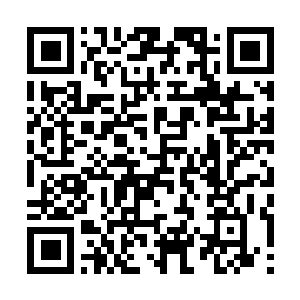 Lien vers votre campagne QRCode - Collecte de fonds
