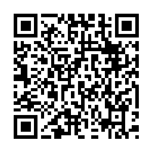 Lien vers votre campagne QRCode - Collecte de fonds