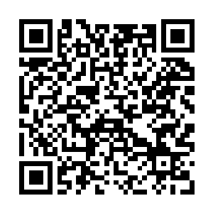 Lien vers votre campagne QRCode - Collecte de fonds