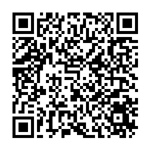 Lien vers votre campagne QRCode - Collecte de fonds