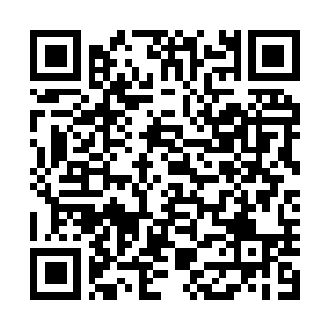 Lien vers votre campagne QRCode - Collecte de fonds