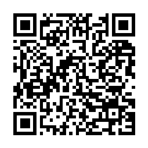 Lien vers votre campagne QRCode - Collecte de fonds