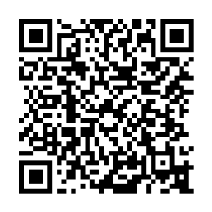 Lien vers votre campagne QRCode - Collecte de fonds