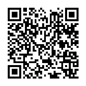 Lien vers votre campagne QRCode - Collecte de fonds