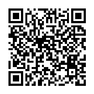 Lien vers votre campagne QRCode - Collecte de fonds
