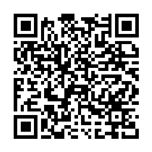 Lien vers votre campagne QRCode - Collecte de fonds