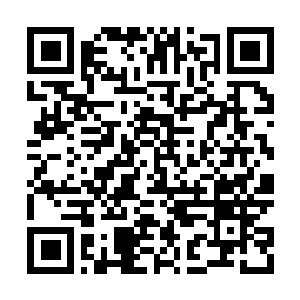 Lien vers votre campagne QRCode - Collecte de fonds