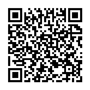 Lien vers votre campagne QRCode - Collecte de fonds