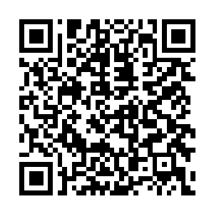 Lien vers votre campagne QRCode - Collecte de fonds