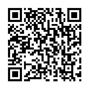 Lien vers votre campagne QRCode - Collecte de fonds