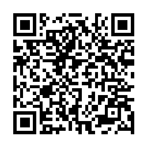 Lien vers votre campagne QRCode - Collecte de fonds