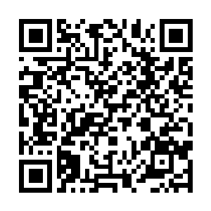 Lien vers votre campagne QRCode - Collecte de fonds