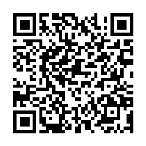 Lien vers votre campagne QRCode - Collecte de fonds