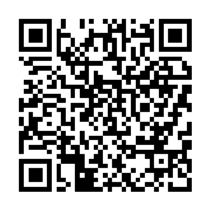 Lien vers votre campagne QRCode - Collecte de fonds