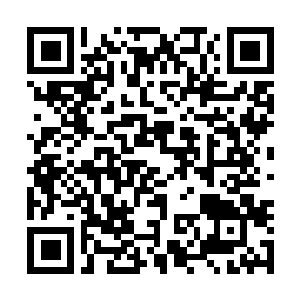 Lien vers votre campagne QRCode - Collecte de fonds