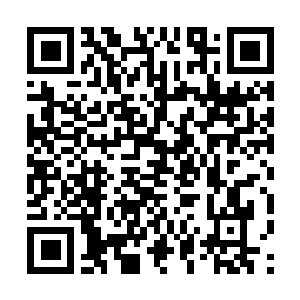 Lien vers votre campagne QRCode - Collecte de fonds