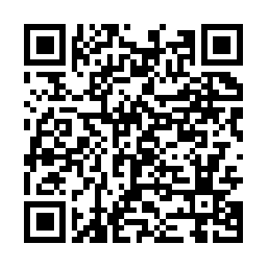 Lien vers votre campagne QRCode - Collecte de fonds