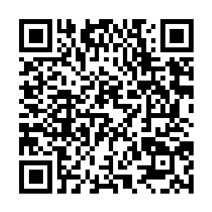 Lien vers votre campagne QRCode - Collecte de fonds