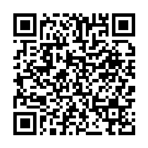 Lien vers votre campagne QRCode - Collecte de fonds