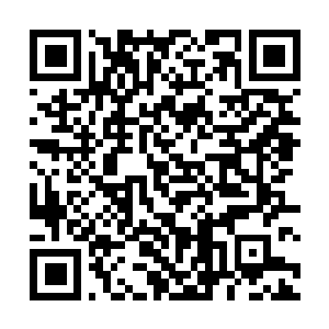 Lien vers votre campagne QRCode - Collecte de fonds