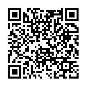 Lien vers votre campagne QRCode - Collecte de fonds