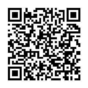 Lien vers votre campagne QRCode - Collecte de fonds