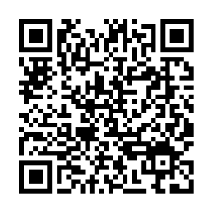 Lien vers votre campagne QRCode - Collecte de fonds