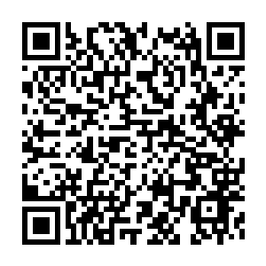 Lien vers votre campagne QRCode - Collecte de fonds