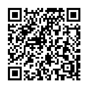 Lien vers votre campagne QRCode - Collecte de fonds