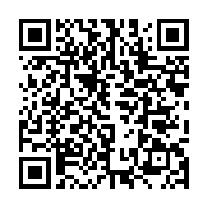 Lien vers votre campagne QRCode - Collecte de fonds