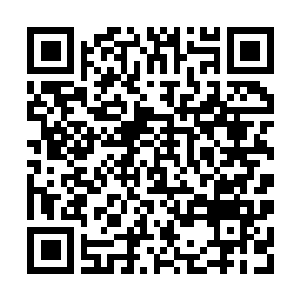 Lien vers votre campagne QRCode - Collecte de fonds