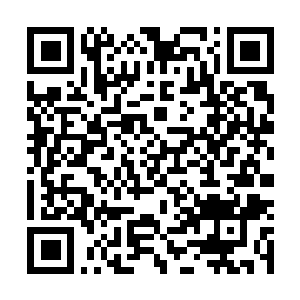 Lien vers votre campagne QRCode - Collecte de fonds