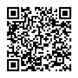 Lien vers votre campagne QRCode - Collecte de fonds
