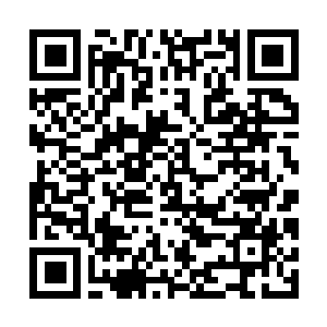 Lien vers votre campagne QRCode - Collecte de fonds