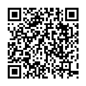 Lien vers votre campagne QRCode - Collecte de fonds