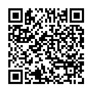 Lien vers votre campagne QRCode - Collecte de fonds