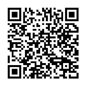 Lien vers votre campagne QRCode - Collecte de fonds