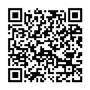 Lien vers votre campagne QRCode - Collecte de fonds