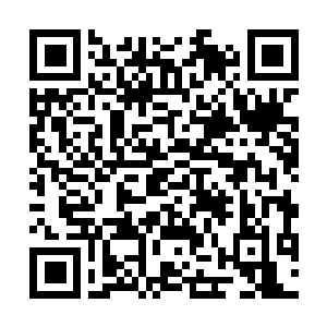 Lien vers votre campagne QRCode - Collecte de fonds