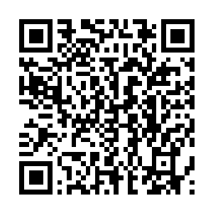 Lien vers votre campagne QRCode - Collecte de fonds
