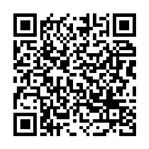 Lien vers votre campagne QRCode - Collecte de fonds