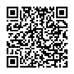 Lien vers votre campagne QRCode - Collecte de fonds