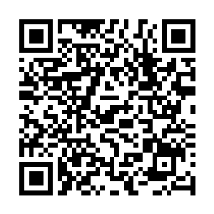 Lien vers votre campagne QRCode - Collecte de fonds