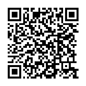 Lien vers votre campagne QRCode - Collecte de fonds