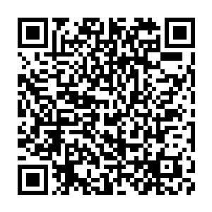 Lien vers votre campagne QRCode - Collecte de fonds