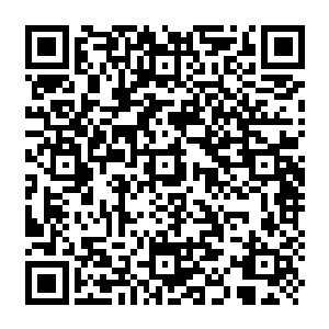 Lien vers votre campagne QRCode - Collecte de fonds