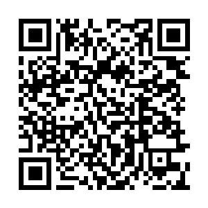 Lien vers votre campagne QRCode - Collecte de fonds