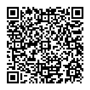 Lien vers votre campagne QRCode - Collecte de fonds